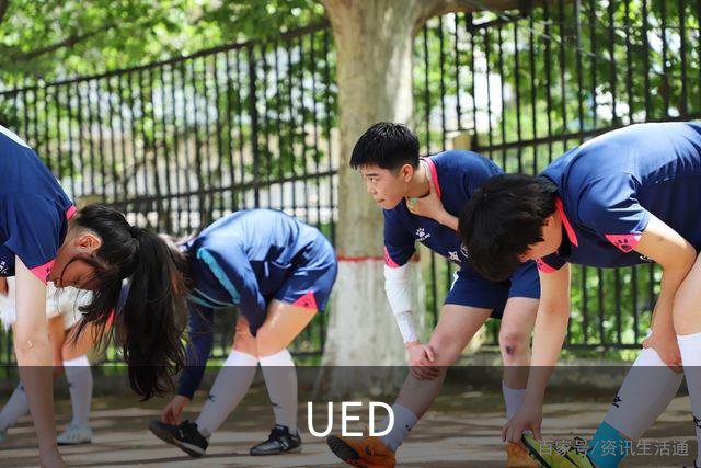 UED公司简介